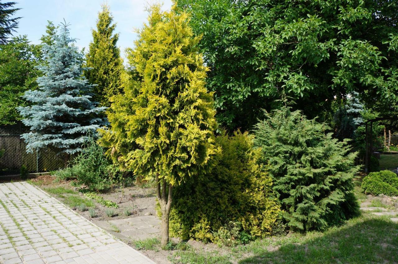 Apartamenty Z Klimatem Poznań Kültér fotó